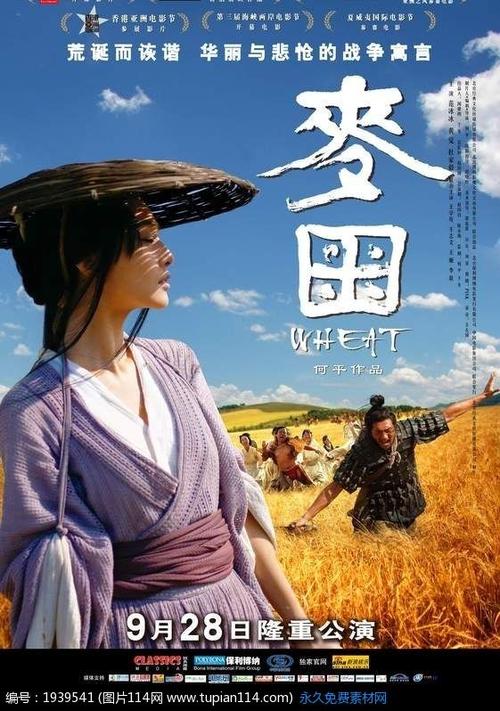 怎么购买荷兰护照模板威斯康星州驾驶证哪里能买到